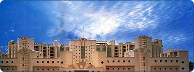 Apollo Hospital Delhi