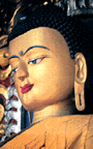 Buddha Purnima